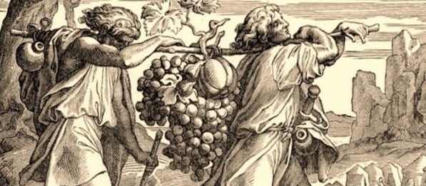 Chela'h lekha explorateurs raisins canaan paracha