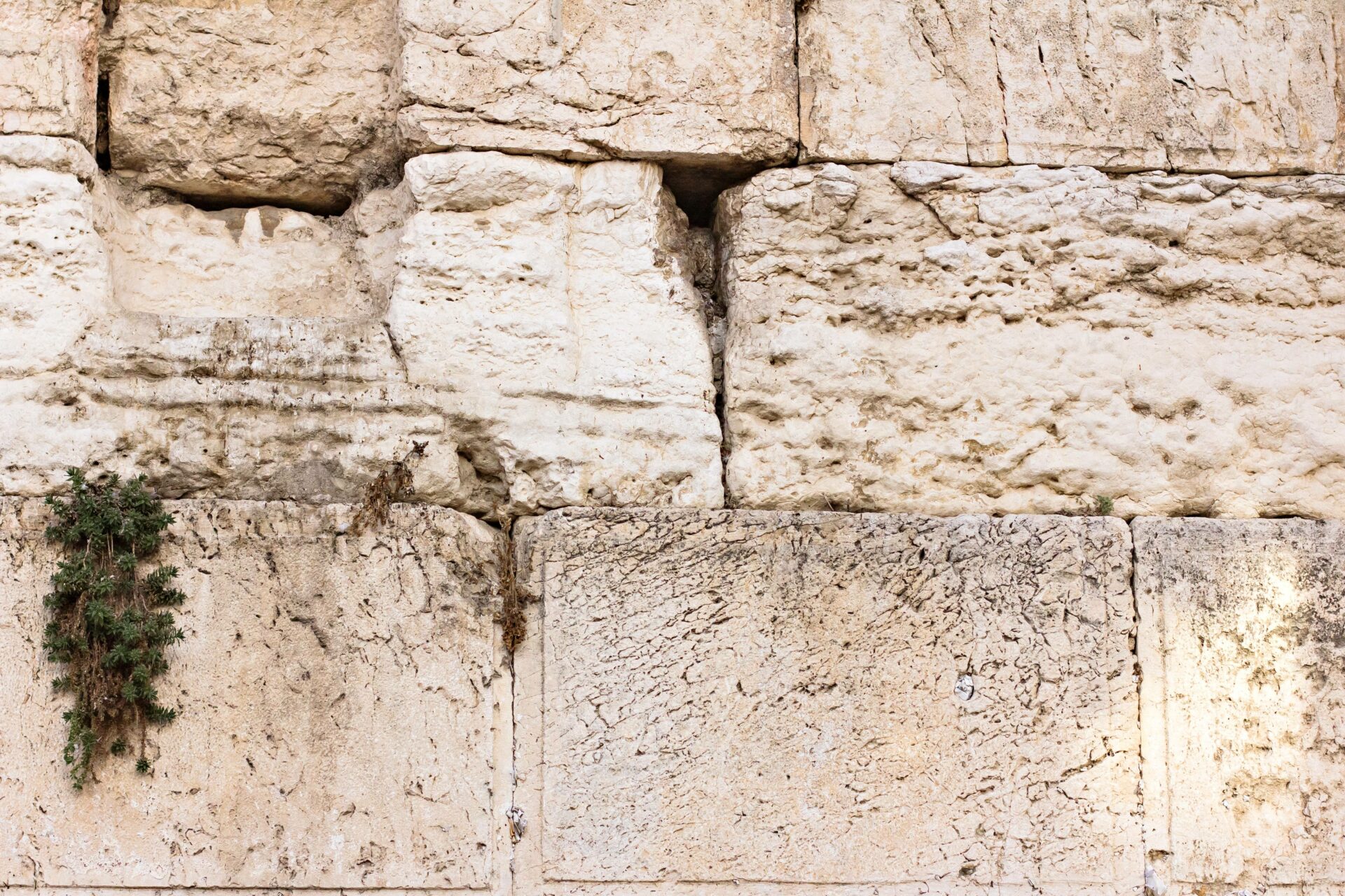 Temple Jerusalem Kotel Mur des lamentations ticha be av 9 av