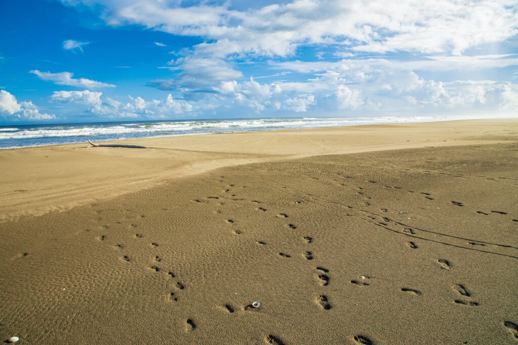 mer sable eli eli poème chant bekol zimra