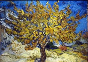 arbre-nature-rabbin-questions-judaisme-massorti