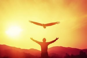 ame-spirituel-oiseau-houkat-paracha-barmtisva-massorti