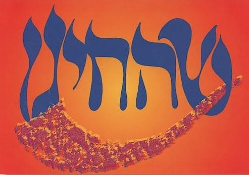 projet-chehereyanou-rabbin-joshweiner-hebreu