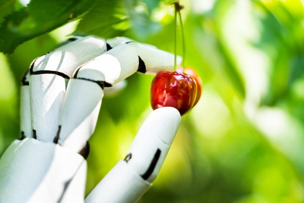robot-golem-bikourim-recolte-fruit-barmitsva-massorti