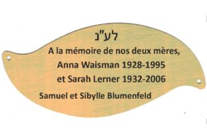feuille-etz-haim-arbre-vie-deuil-memoire-adathshalom