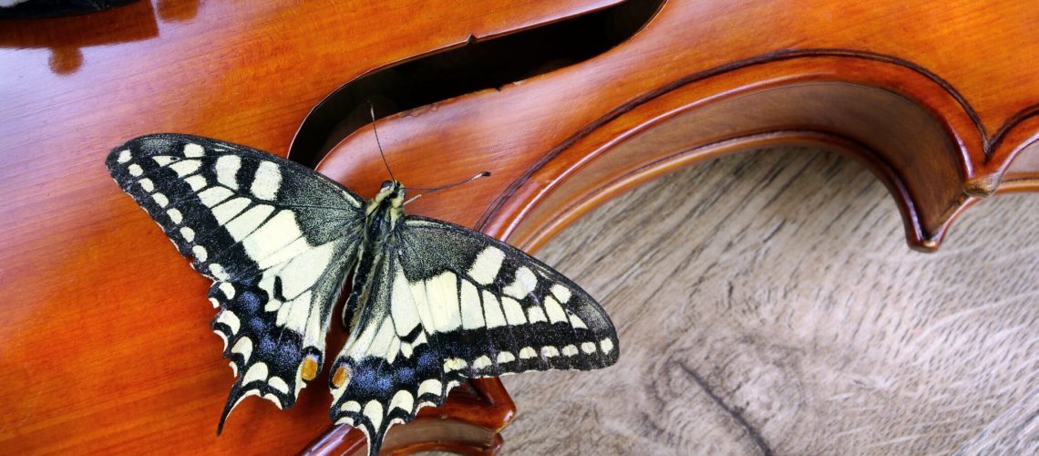 concert talents musicaux d'adath shalom tou bichevat fêtes juives musique juives