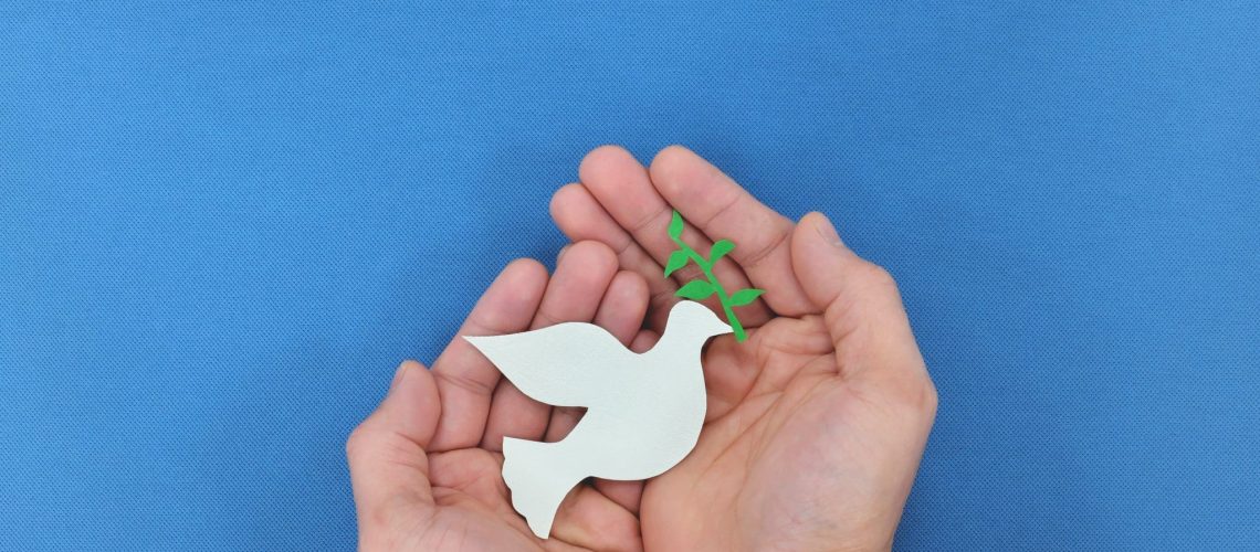 israel-paix-massorti-colombe