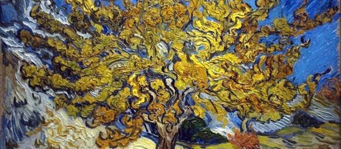 arbre-nature-rabbin-questions-judaisme-massorti